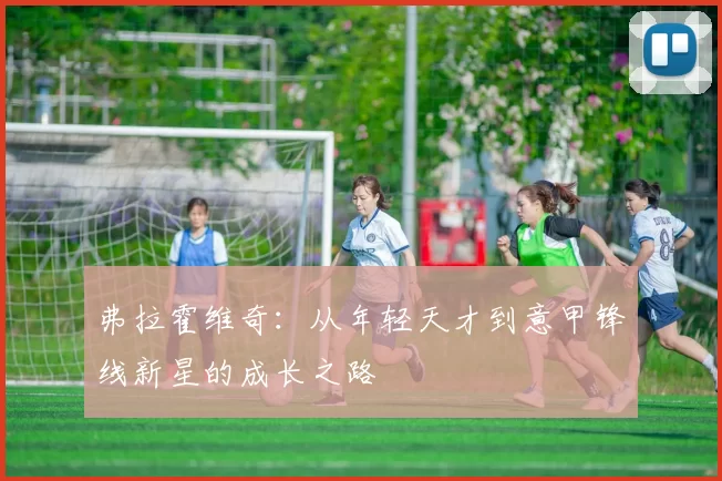 弗拉霍维奇：从年轻天才到意甲锋线新星的成长之路