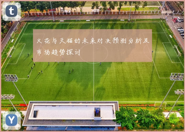 火花与天猫的未来对决预测分析及市场趋势探讨